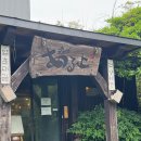 모리노아루요