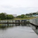 황금낚시 이미지