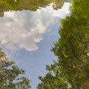 한천휴양림 오토캠핑장 이미지