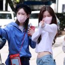 아린