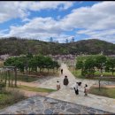 동탄 여울공원 농구장 이미지