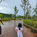 파리바게트 조치원점 | 세종 가볼만한 곳 2024 조치원 복숭아 축제 후기