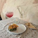 (주)노랑댕댕이 이미지