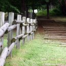 진영공원 이미지