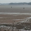 골드하우스 이미지