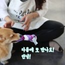 놀자 - 부평구 열우물로 26 | 놀자