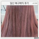 일산 복구매직 미용실 그레이큐브 후기