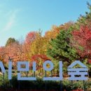 시민의숲 이미지