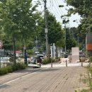 삼척장애인종합복지센터목욕장 | 2025년 삼척시 장미축제가서 블랙이글스 에어쇼에 감명받고 온 후기