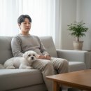 꼬리치는강아지 티스토리