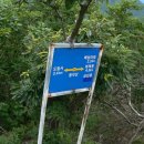 도림사[남] Daum카페