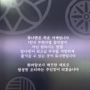 튜나퀸 이미지