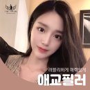 드레스성형외과의원 이미지