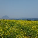 동막골 바다펜션 이미지