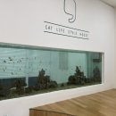 1093 | 볼만한곳] 인천 루원시티 아이 체험 카페 "캣플헤븐 루원시티 인천점" 고양이와 놀 수 있는 캣플 방문 후기