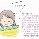 닮은사람들 이미지