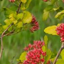 법대로행정사사무소 이미지