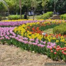 미사누리2호공원 이미지