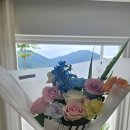 스테이 맑음 이미지