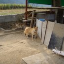 안동민박 이미지