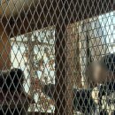 배우물농장 이미지