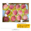 복자네복숭아