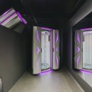 로얄브론즈