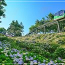 장생포로 이미지