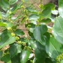 우리농원 이미지