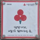 어제 그자리 | 제주공항 맛집 칼국수 용담보말칼국수, 보말칼국수·자리물회 리얼 후기
