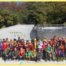 마산 돝섬&가고파국화축제(1) 이미지