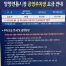 송이향(칼국수전문점)