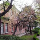 마로니에공원 이미지