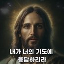 최예수 티스토리