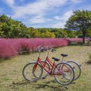 미사경정공원 이미지