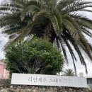 리인제주 이미지