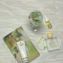 [비대면라이브]조향 클래스 | 책과 향이 함께하는 북퍼퓨머 자격증 수료 과정, 조향 입문 아이템