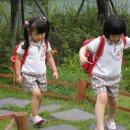 봉글봉글 이미지