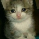 사랑학원 이미지