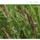 유전농장 이미지