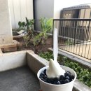 &#39;17 :: Day8 :: 다시 서울로.. 7박 9일 일정과 &#39;소소한 여행 tips&#39;