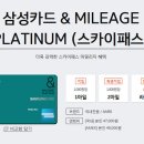 스카이플래티늄항공