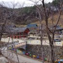 무흘구곡 전시관 2층 | 최은희 '마음의 고향' 촬영지 청암사의 헤테로크로니