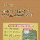 피앤피제주 - 제주시 연신로 130 | 피앤피제주