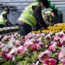 백양산 양묘장 이미지