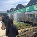 진해꽃식물원 이미지