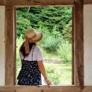 도산서원&예끼마을테마 이미지