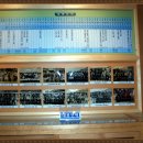 진동초등학교 이미지