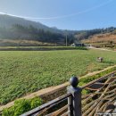 등대길 민박 이미지