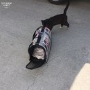 웰니스동물병원(고잔점) 네이버블로그